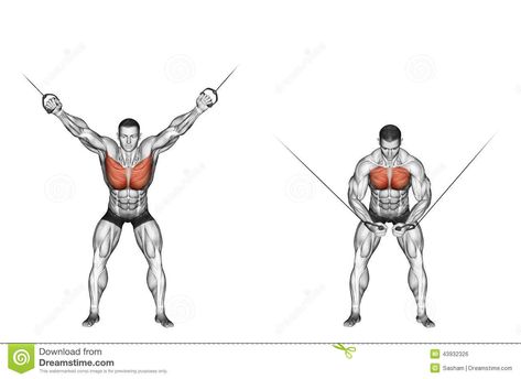 Steps Illustration, Cable Machine Workout, Chest Exercise, Chest Workout For Men, Superhero Workout, Bodybuilding Pictures, Men's Workout, Chest Workouts, Workout Plans