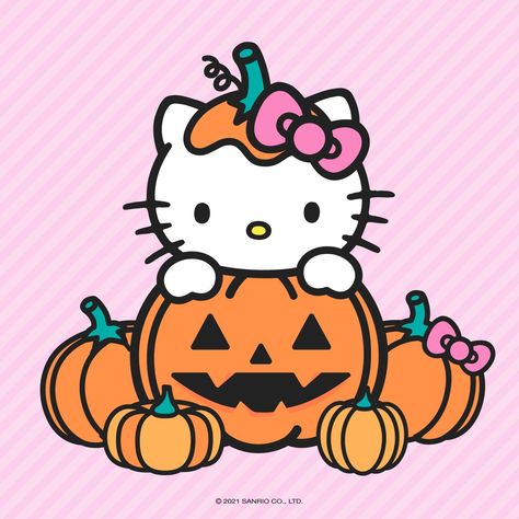 Hello Kitty Halloween Wallpaper, Hello Kitty Pumpkin, Hello Kitty Wallpaper Hd, Halloween Wallpaper Cute, Halloween Wallpapers, Hello Kitty Themes, Cute Fall Wallpaper, Hello Kitty And Friends, Kitty Drawing