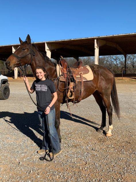 Western Reining Horse, Western Horse Riding Aesthetic, Western Riding Tack, Bay Horse Western, Bay Horses In Western Tack, Bay Horses Western, Cowgirl Vibes, Aqha Horses, Western Horses