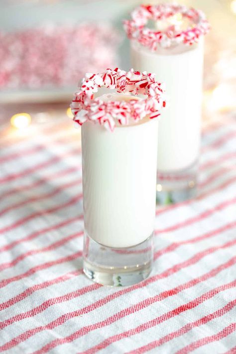 Candy Cane Shots Recipe, Candy Cane Shots, Christmas Dessert Drinks, Rumchata Drinks, Rumchata Recipes, Peppermint Vodka, Apple Cider Punch, Perfect Christmas Dessert, Peppermint Coffee