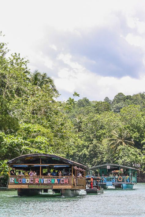 Loboc River Cruise in Bohol, Philippines Loboc River Cruise Bohol, Bohol Tourist Spot, Tourist Spots In The Philippines, Bohol Chocolate Hills, Philippines Bohol, Philippines Aesthetic, Phillipines Travel, Chocolate Hills, Travel Philippines