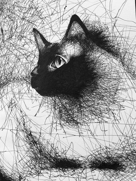 Scribble Drawings, Charcoal Artwork, Scribble Drawing, Pen Art Work, Scribble Art, Cat Sketch, Tinta China, Cat Artwork, Inspirational Art