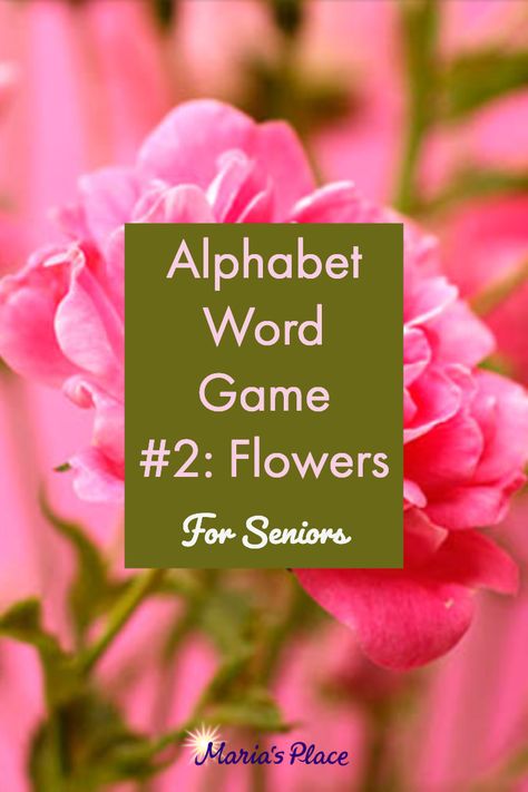 Alphabet Games For Adults, Flower Games Party, Spring Games For Seniors, Spring Activities For Senior Citizens, April Senior Activities, Flower Party Games, Spring Activities For Seniors, Spring Games For Adults, March Activities For Seniors