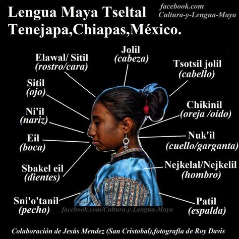 THE Tseltal or Tzeltal is a Maya anguage spoken in the state of Chiapas (Mexico) in about 17 municipalities, has approximately 370.000 speakers making it the second most spoken language in Chiapas (after Castilian) and the fifth most spoken language in nationwide. Also part of the East Branch called the Mayan languages​​. Mayan Language, Teaching 6th Grade, Maya Civilization, Step Pyramid, Ancient Aztecs, Puerto Rico Art, New Spain, Writing Systems, 5 De Mayo