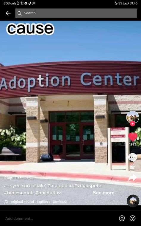 Adoption Center Building, Adoption Center, Really Funny Pictures, Really Funny, My Pictures, Adoption, Vision Board, Funny Pictures, Collage