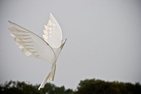 My favourite kite at the recent kite festival held at Ashton Court Estate. James And Giant Peach, Bird Puppet, Diy Kite, Kites Craft, Bird Kite, Fly A Kite, Kite Making, Kite Designs, Go Fly A Kite