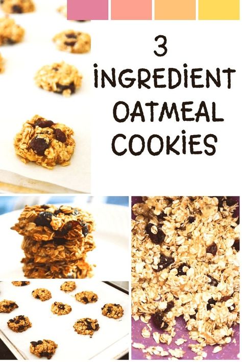 Looking for a sweet treat that's both healthy and delicious? Look no further than 3 Ingredient Oatmeal Cookies! Quick and easy to make, these cookies are made with just three simple ingredients - bananas, oats, and dried cranberries. 3 Ingredient Banana Cookies, Banana Oatmeal Breakfast Cookies, Best No Bake Cookies, Easy No Bake Cookies, 3 Ingredient Cookies, Oatmeal Breakfast Cookies, Healthy Oatmeal Cookies, Banana Oatmeal Cookies, Banana Cookies