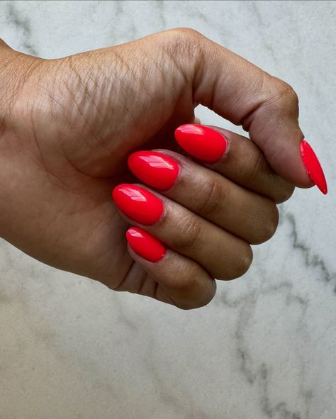 I couldn’t let summer pass without getting my neon hot red nails ❤️‍🔥 this set is dip powder over my natural nails. Swipe for random Red Vines ASMR 🔊 is it weird that I love the sound of pulling them out of the container?? Also there’s nothing like biting into fresh red licorice! 😋 #nails #nailsofinstagram #nailsoftheday #summernails #neonnails #dippowdernails #almondnails #shortnails #candy #licorice #redvines Neon Red Nail Polish, Hot Red Nails, Red Licorice, Bright Red Nails, Red Vines, Cherry Nails, Red Nail Polish, Neon Nails, Dip Powder Nails