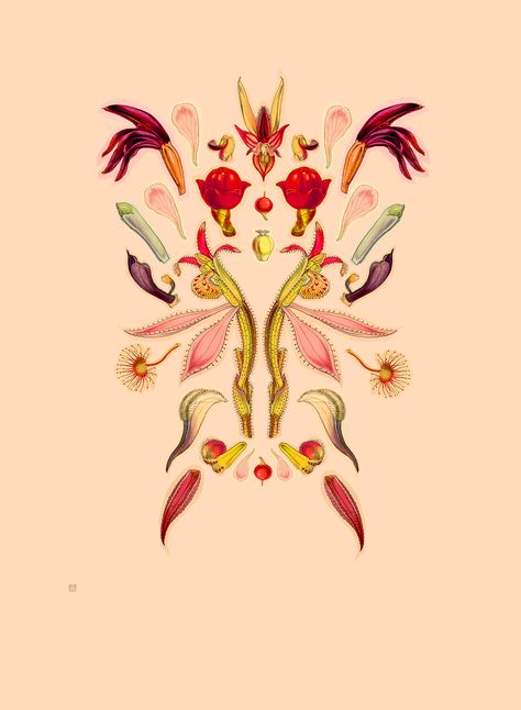 Yes, These Botanical Collages Look Like They Are Delightfully ‘Womanspreading’ - Creators Flower College, Botanical Collage, Resin Wall Art, Parts Of A Flower, Cave Paintings, Botanical Illustrations, Botanical Drawings, On My Mind, Weird Art