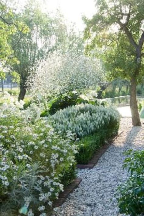 Blog — The Fat Hydrangea Pea Gravel Garden, Gravel Gardens, Salvia Nemorosa, Gravel Garden, Pea Gravel, Moon Garden, Have Inspiration, Garden Show, Garden Pathway