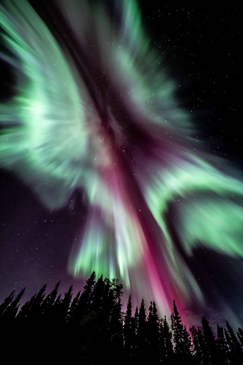 Fergies Photos (MBs Aurora Gal) (@FergiesPhotos) on X Aura Borealis, Aroura Borealis Wallpaper, Aesthetic Aurora Borealis, Purple Aurora Borealis, Green Aurora Borealis, Northern Lights (aurora Borealis), Aurora, Aura