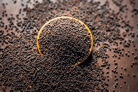 If you have never used mustard seeds in your cooking, this is your guide. Learn how to buy and use mustard seeds and learn about different types of mustard seeds. Paleo Honey Mustard, Honey Mustard Recipes, Homemade Mustard, Mustard Chicken Recipes, Black Mustard Seeds, Mustard Recipe, Nigella Seeds, Honey Mustard Sauce, Brown Mustard