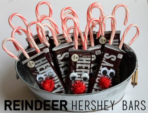 Hershey Bar Reindeer Hershey Christmas Tree, Wrapped Candy Bar Ideas, Class Stocking Stuffer Ideas, Christmas Candy Gifts Diy, Candy Bar Ideas For Christmas, Diy Christmas Treats For Kids School, Hershey Bar Christmas Ideas, Reindeer Applesauce Cups, Hershey Kisses Christmas Ideas