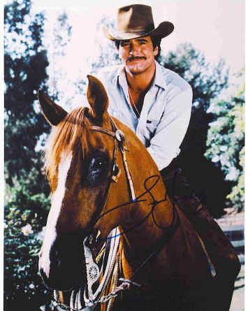 Lee Horsley, 80s Shows, Moustaches Men, African Royalty, Private Eye, Fact Families, Moving To California, Betty White, Model Drawing