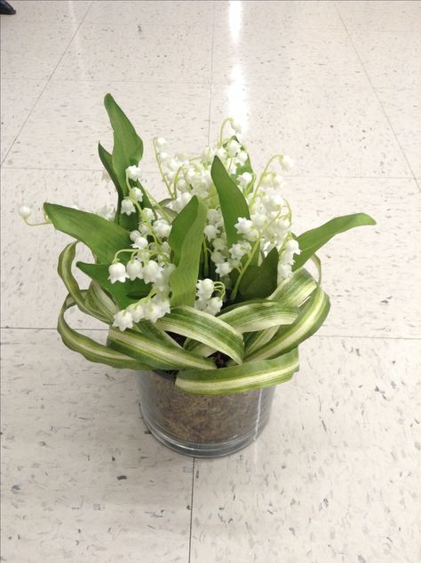 Floral arrangement of lilies of the valley with spider plant twists. Lilies Of The Valley, Creative Party Ideas, Spider Plant, Cat Tail, Spider Plants, Floral Arrangement, Lily Of The Valley, The Valley, Floral Art