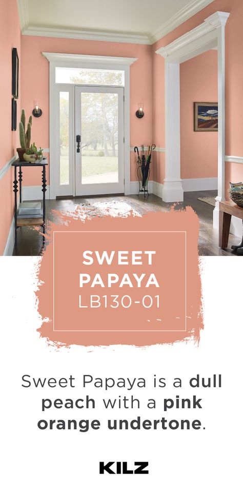 Give your front entryway a pretty in pink makeover with help from KILZ COMPLETE COATⓇ Paint & Primer In One in Sweet Papaya. This peach hue has pink orange undertones, giving your home a fresh spring style. Click below for full color details to learn more. Salmon Colored Kitchen, Peach Paint Bathroom, Peach Bedroom Walls Paint, Peach House Exterior Paint Colors, Salmon Wall Color, Peach Interior Paint, Papaya Paint Color, Peach Walls Living Room, Peach Wall Paint Living Room