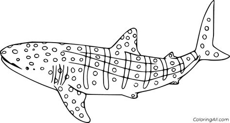 11 free printable Whale Shark coloring pages in vector format, easy to print from any device and automatically fit any paper size. Shark Printables, Shark Activities, Shark Images, Whale Coloring Pages, Shark Silhouette, Big Whale, Cartoon Whale, Shark Pictures, Shark Drawing