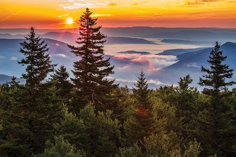 West Virginia Photography, Take Me Home Country Roads, Blackwater Falls State Park, Virginia Hill, Monongahela National Forest, West Virginia Mountains, West Virginia Travel, Mama Photo, East Coast Road Trip