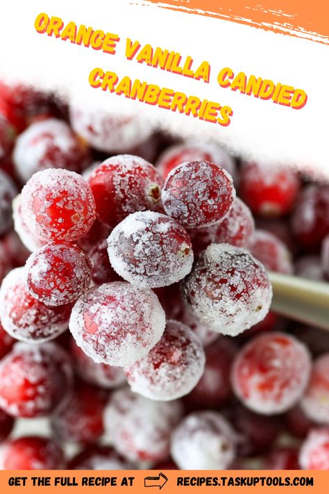 Discover the perfect blend of sweet and tangy with our Orange Vanilla Candied Cranberries recipe. Elevate your holiday dishes or add a burst of flavor to any dessert with this easy-to-make treat. Infused with zesty orange and aromatic vanilla, these candied cranberries offer a delightful twist to traditional flavors. Ideal for garnishing cakes, topping salads, or enjoying as a snack. Try this recipe and bring a touch of gourmet elegance to your culinary creations today. Don't miss out on transforming Candy Coated Cranberries, How To Candy Cranberries, December Snacks, Frosted Cranberries Recipe, Russian Candied Cranberries, Cranberry Candy Recipes, Candied Cranberries Powdered Sugar, Candied Cranberry, Candy Cranberries