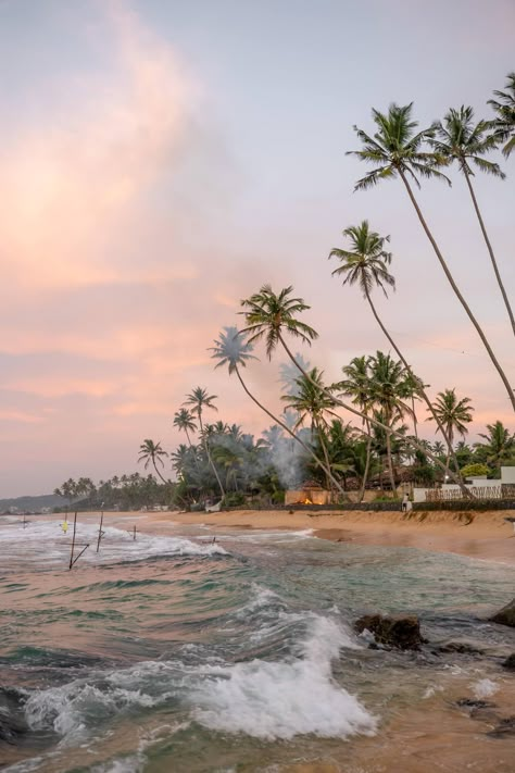 Discover one of my favorite beaches in Sri Lanka + where to find the Insta famous palm tree rope swing! Sri Lanka Beaches, Sri Lanka Travel Photography, Travel Sri Lanka, Unawatuna Sri Lanka, Photography Travel, My Place, Sri Lanka Aesthetic, Sri Lanka Galle, Sri Lanka Surf