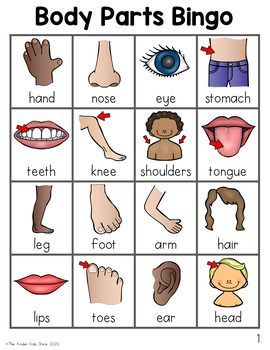 Best 12 Body Parts Bingo Game By The Kinder Kids 7E4 Body Parts Theme, Body Parts Preschool Activities, Body Parts For Kids, Body Preschool, Body Parts Preschool, All About Me Preschool, English Worksheets For Kids, Alphabet Activities Preschool, English Lessons For Kids