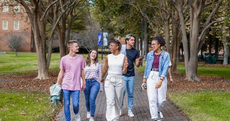 Here's exactly what to wear on a college tour - we have got you covered with outfits ideas that are trendy and classy! The post Cute and Classy Ideas for What to Wear on a College Tour appeared first on Cassidy Lucille. College Tour Outfit, Regent University, College Tours, College Tour, College Visit, Neutral T Shirts, Pink Converse, Free Jeans, Outfit Formulas