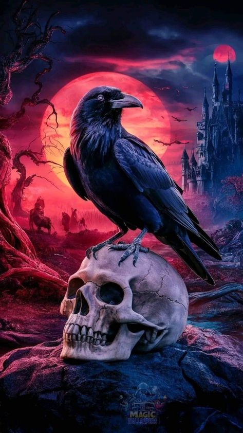 Raven And Skull Art, Crow Wallpapers, Crow On Skull, Crow And Skull, Raven Wallpaper, Skull And Raven, Halloween Crows, Raven Halloween, Colorful Skull Art