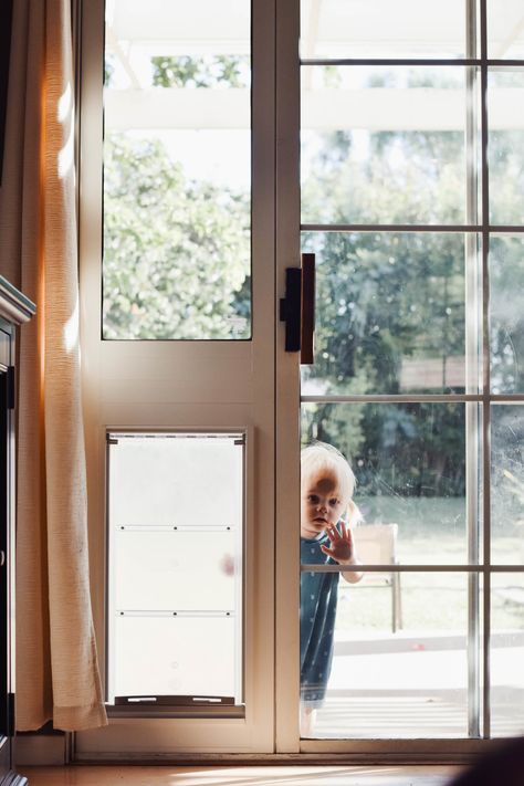 Dog Flap In Glass Door, Dog Door In Sliding Glass Door, Doggie Door In Glass Door, French Door With Dog Door, Sliding Glass Door With Dog Door, Dog Door Ideas Sliding Glass Door, Sliding Door Dog Door, Sliding Glass Dog Door, Large Dog Door