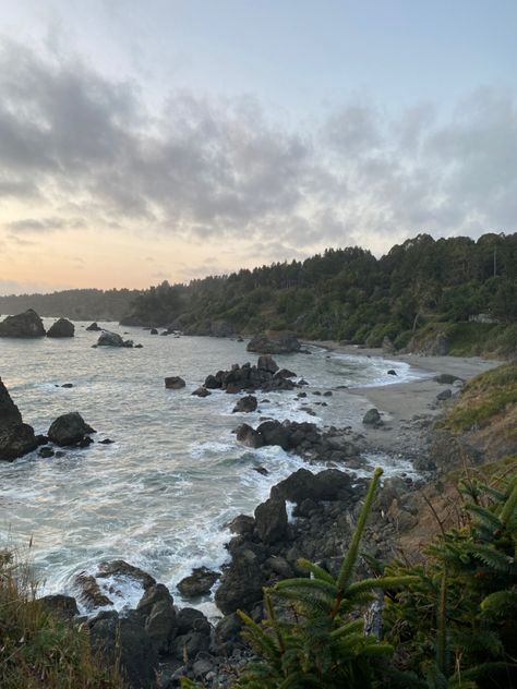 North California Aesthetic, Norcal Aesthetic, North California, Oregon Life, California Coastline, Humboldt County, Ghost Story, Cali Girl, Pretty Landscapes