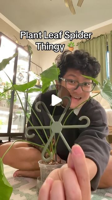 Juni | This was so helpful thank you @florourplants !! Use “junisfriends” for discount! . . . . . #plants #plant #plantparent #plantsofinsta... | Instagram Philodendron Display Ideas, Spider Plant Decor Ideas, Monstera Andanosii, Monstera Support Ideas, Monstera Adansonii Climbing, Monteras Plant, Pathos Plant Decor, Pothos Ideas, Indoor Plant Setup