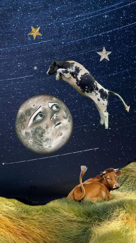 Cow And Moon, Cow Jumped Over The Moon, Cat Run, The Cow, Over The Moon, Nursery Rhymes, Tea Set, The Moon, Cow