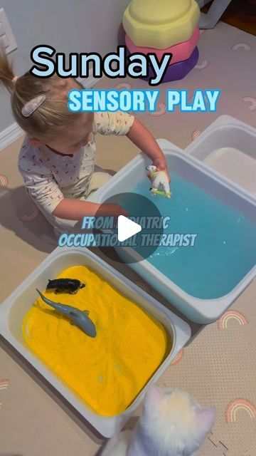 Tactile Activities For Kids, Early Intervention Sensory Activities, Oral Sensory Activities For Toddlers, Sensory Input Activities For Kids, Tactile Desensitization Activities, Visual Stimming Activity, Tactile Sensory Activities, Quiet Toddler Activities, Sensory Integration Therapy