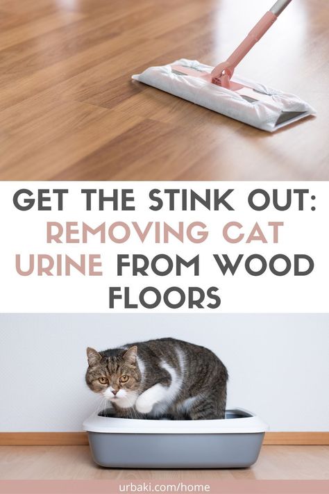 Do you love your cat, but hate the smell of urine on your beautiful hardwood floors? Don't worry!Although removing the smell of cat urine from hardwood floors is not an easy task, with the right cleaner and, in advanced cases, sanding the floor, you can eliminate that unpleasant smell and keep your home fresh and clean.While you love your cat, as the owner of a home with beautiful hardwood floors, you love your floors too. But cats and wood don't mix. Pet Urine Smell Remover Hardwood, How To Get Cat Pee Smell Out Of Wood, Cat Pee Smell Removal Wood, Get Rid Of Cat Urine Smell, How To Get Rid Of Cat Urine Smell, Odor Eliminator Diy, Cleaning Cat Urine, Cat Smell, Cat Pee Smell Removal