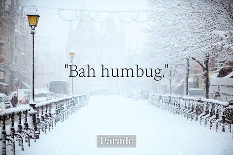 Bah Humbug! 35 Quotes From A Christmas Carol That Will Cheer up Even the Biggest Scrooges | One of the most beloved holiday tales of all time is Charles Dickens‘ A Christmas Carol. The timeless tale of finding the spirit of Christmas and the joy of giving couldn’t be more relevant in a time of increased isolation and poverty, and a global pandemic. Reminisce about the most important messages and themes from the story with our collection of the best A Christmas Carol quotes. Scrooge Quotes, A Christmas Carol Quotes, A Christmas Carol Themes, Scrooge A Christmas Carol, The Meaning Of Christmas, Christmas Carol Charles Dickens, Charles Dickens Christmas, Jacob Marley, Best Christmas Quotes