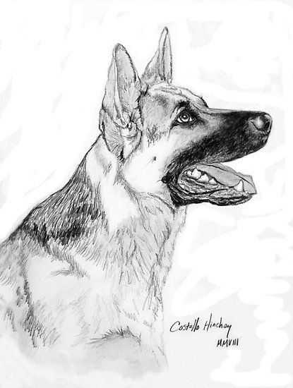 side view | Design Project 1 | Pinterest | German Shepherd Dogs ... Drawing German Shepherd, German Shepherd Tattoo, Dogs Drawing, Sports Portraits, Portraits Pop Art, German Shepherd Art, Fuzzy Wuzzy, Dog Sketch, 강아지 그림