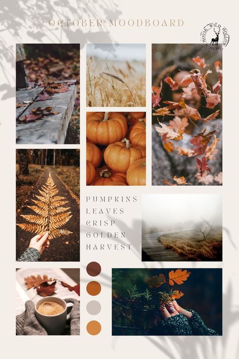 Monthly moodboard for October - create a stunning fall aesthetic with this fall moodboard, with images of pumpkins, autumn leaves and cosy vibes. autumn aesthetic | autumn moodboard | pumpkin spice | fall moodboard ideas Mood Board Photography Ideas, Fall Winter Mood Board, Moodboard Photography Mood Boards, Autumn Moodboard Aesthetic, Autumn Mood Board Aesthetic, October Board Ideas, October Moodboard, Fall Mood Board Wallpaper Laptop, Autumn Moodboard