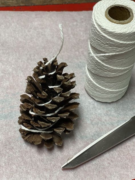 Make Beautiful Pine Cone Fire Starters - Amateur Camper Pinecones Fire Starter Diy, Wine Cork Fire Starters, How To Make Pinecone Fire Starters, Pine Cone Candles Diy, Christmas Fire Starters Diy, Pinecone Firestarters Diy, Pinecone Fire Starter Diy How To Make, Pine Cone Fire Starter Diy, Pinecone Firestarters