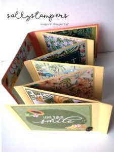 Stampin Up Album Mini Books, Stampin Up Concertina Cards, Stampin Up Mini Album Tutorials, Concertina Cards, Sally Stampers, Brag Books, Baby Mini Album, Scrapbook Design Layout, Album Tutorial