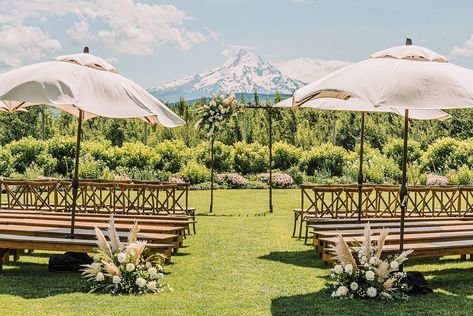 Hood River Oregon Wedding at The Orchard - Janelle & Co Photo Apple Orchard Wedding, Reasons To Get Married, Hood River Oregon, Wedding Venues Oregon, Apple Orchards, Orchard Wedding, Hood River, Ceremony Arch, Oregon Wedding