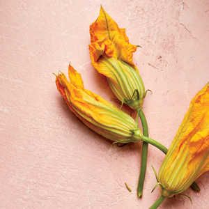 How to Prepare Squash Blossoms and Why You Should Eat More of Them How To Prepare Squash, Cook Squash, Fried Squash Blossoms, Stuffed Squash Blossoms, Fried Squash, Squash Fries, Zucchini Flowers, Zucchini Blossoms, Squash Blossoms