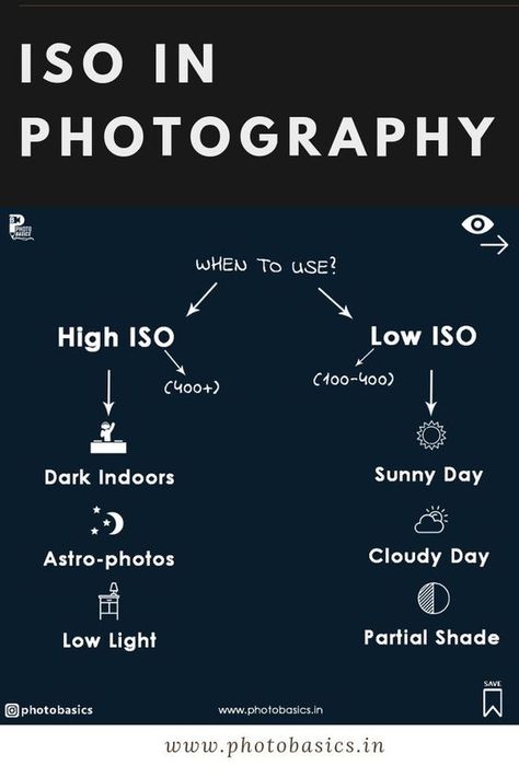 Photography Ideas Beginners, Photography For Beginners Nikon, Nikon Z50 Photography Tips, Iso In Photography, Tips For Portrait Photography, Mobile Photography Tips For Beginners, Iso Cheat Sheet, Iso Explained, Photography Viewpoints