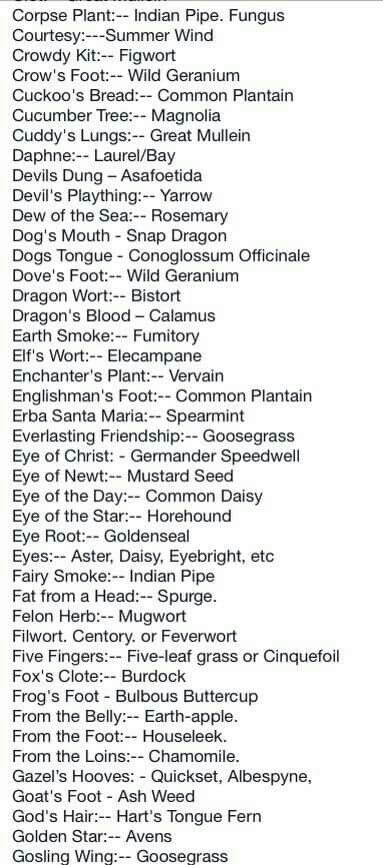 Alternative names for spell ingredients List Of Herbs, Magia Das Ervas, Under Your Spell, Kitchen Witchery, Magical Herbs, Eclectic Witch, Herbal Magic, Wicca Witchcraft, Witch Stuff