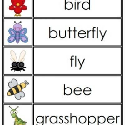 Preschool Word Walls, Spring Vocabulary, Preschool Spring, Bugs Preschool, Vocabulary Word Walls, Spring Kindergarten, Spring Classroom, Spring Words, Wall Words