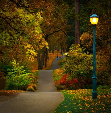 Happiness is an Evening Walk in the Park | Flickr - Photo Sharing! Salem Oregon, State Of Oregon, Oregon Washington, Evening Walk, Autumn Scenes, Oregon Travel, Autumn Scenery, Best Seasons, Autumn Beauty