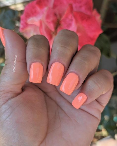 This peachy coral is the perfect summer shade! 🎆Friends & Firecrackers🎆 will be available Tomorrow @ 10AM EST! https://www.peppigel.com/dipdelights (Manicures by- Felicha C., Allie R.) #peppigel #dippowdernails #nails #diy #diynails #gelnails #summernails #summer2024nails Coral Acrylic Nails, Coral Gel Nails, Peachy Nails, Coral Pink Nails, Peppi Gel, August Nails, Peach Nails, Coral Nails, Basic Nails