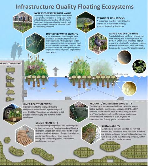 Structural Floating Wetlands: Achieving Ecosystem Services in Heavily Modified Waterbodies - Issuu Floating Wetland, Floating Landscape, Wetland Design, Concrete Cover, Wetland Park, Living Roofs, Natural Ecosystem, Water Quality, Summer Projects