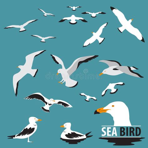 Seagull Illustration, Travel Poster Design, Sea Crafts, Free Vector Illustration, Bird Book, Bird Silhouette, Funny Birds, Landscape Illustration, Sea Birds