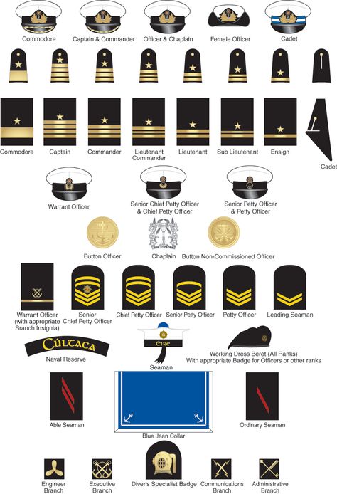 The military insignia includes a variety of different symbols and insignias used within the Navy on caps, badges and uniform lapels to identity there rank and affiliation. Naval Rank Insignia, Navy Insignia, Navy Ranks, Uss Iowa, Army Ranks, United States Naval Academy, Military Logo, Military Ranks, Different Symbols