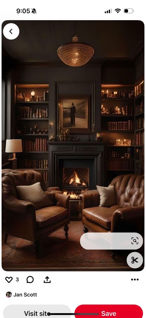 Moody Sitting Room, Parlor Room, Sitting Room Decor, Dark And Moody, Front Room, Sitting Room, Merlot, Decor Inspiration, Decorative Items