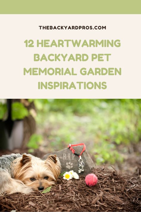 Discover solace in creating a serene tribute to your cherished pet with these 12 heartfelt backyard memorial garden ideas. Whether it's planting their favorite flowers or crafting a custom memorial bench, each idea is a beautiful reflection of the love and bond you shared. Memorial Garden Ideas For Pets, Garden Memorial For Dogs, Dog Memorial Ideas Gardens, Backyard Memorial Garden, Backyard Memorial Garden Ideas, Pet Memorial Garden Ideas, Memory Garden Ideas Diy, Pet Cemetery Ideas, Backyard Memorial